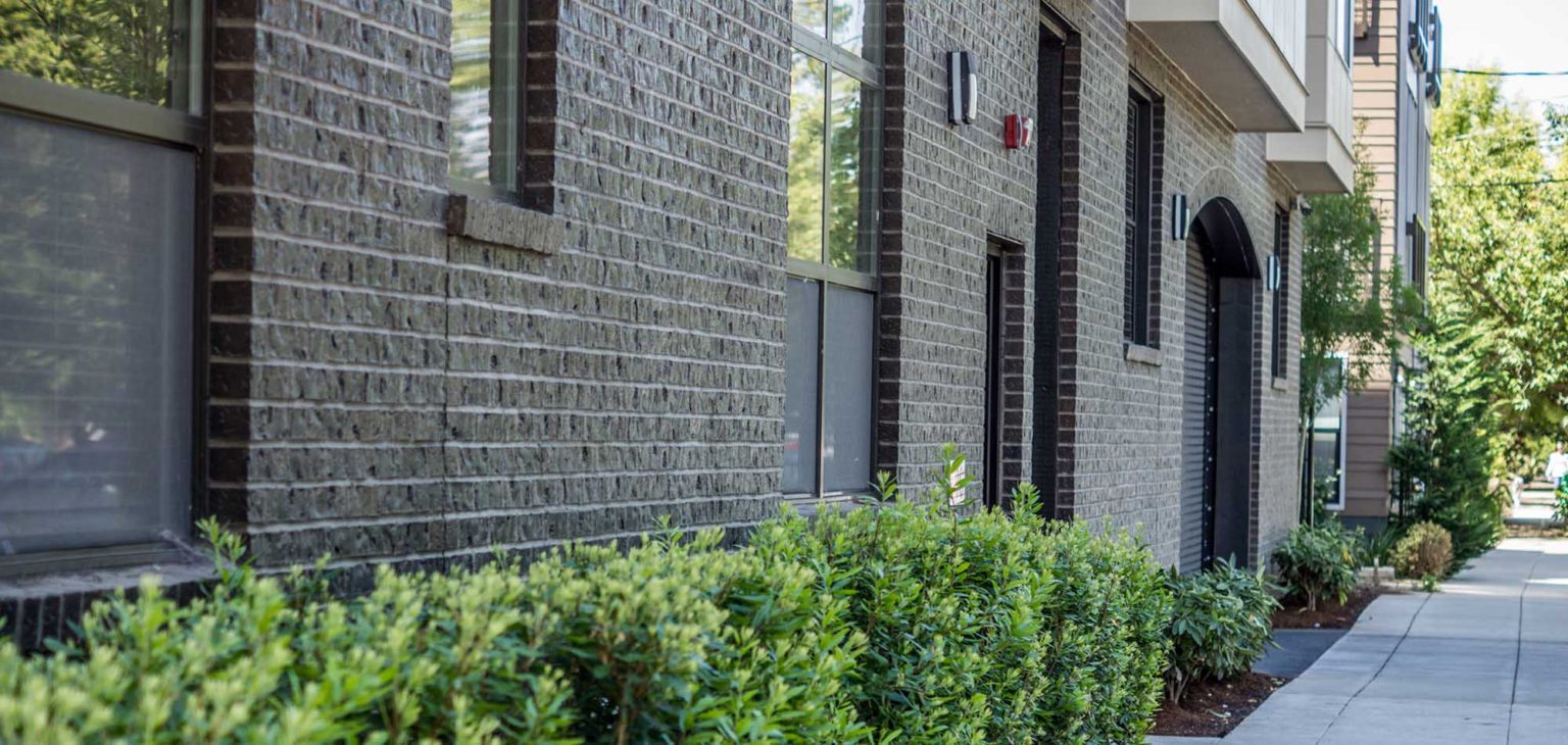 The Monroe Pavilion Construction