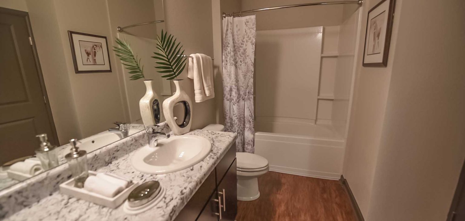 Springs at 2534 Pavilion Construction