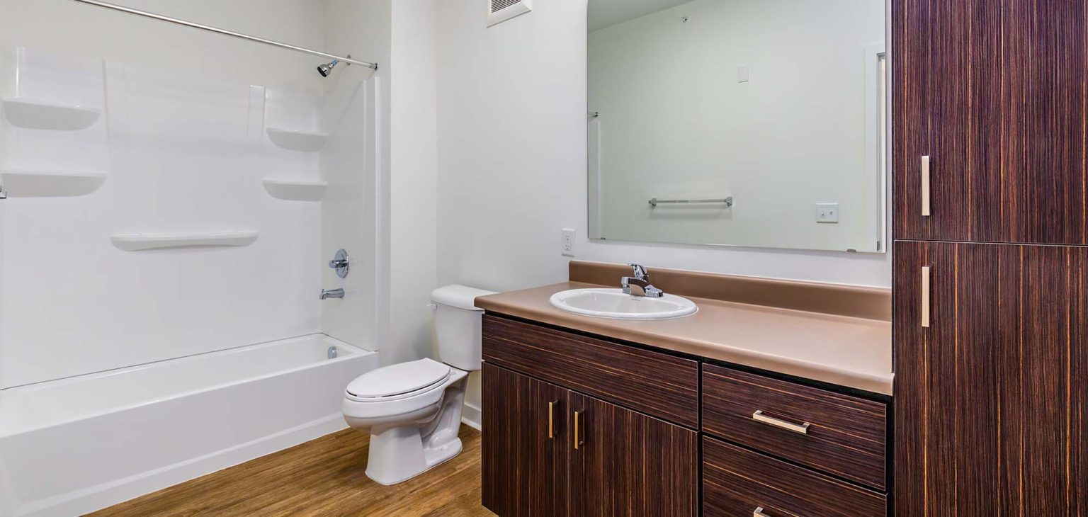 Alpine Vista Pavilion Construction